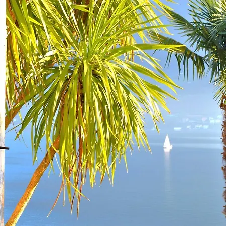 The Palm With Garden Apartment
