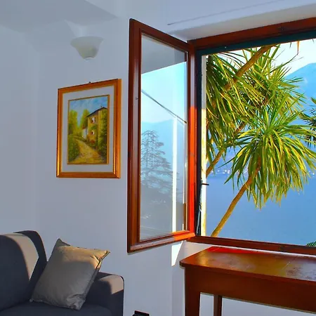 The Palm With Garden *