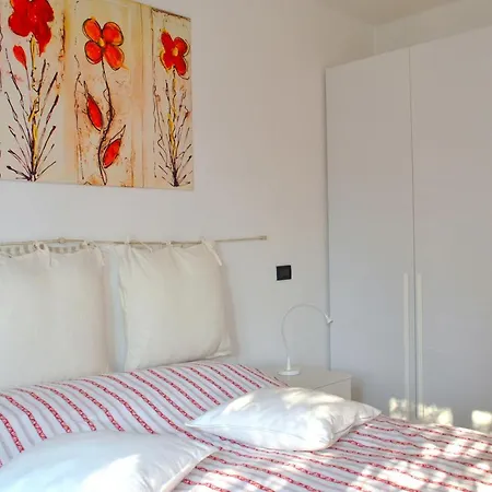 The Palm With Garden *