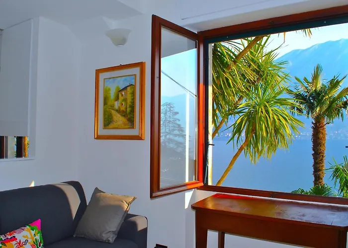 The Palm With Garden *